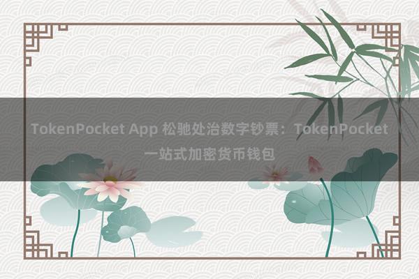 TokenPocket App 松驰处治数字钞票：TokenPocket一站式加密货币钱包