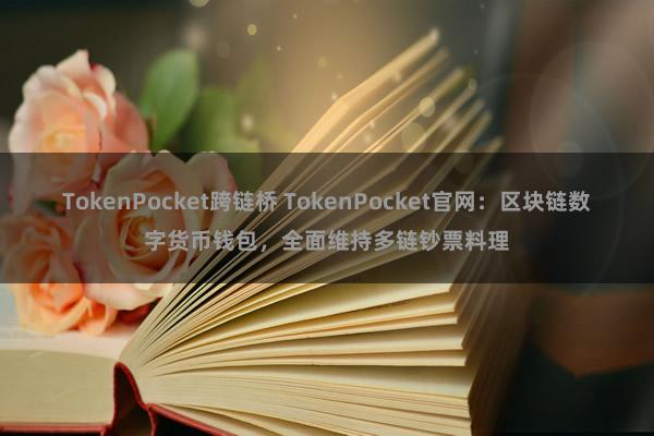 TokenPocket跨链桥 TokenPocket官网：区块链数字货币钱包，全面维持多链钞票料理