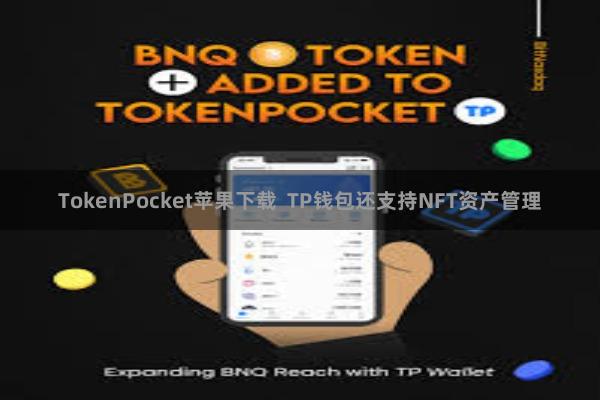 TokenPocket苹果下载  TP钱包还支持NFT资产管理
